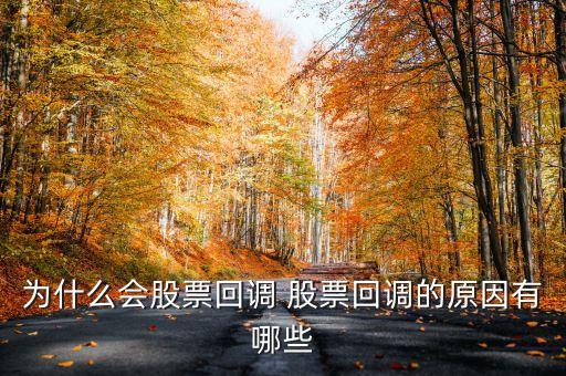 為什么會(huì)股票回調(diào) 股票回調(diào)的原因有哪些