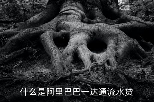 阿里巴巴一達(dá)通是什么，阿里一達(dá)通是什么提供的服務(wù)是不是更多了