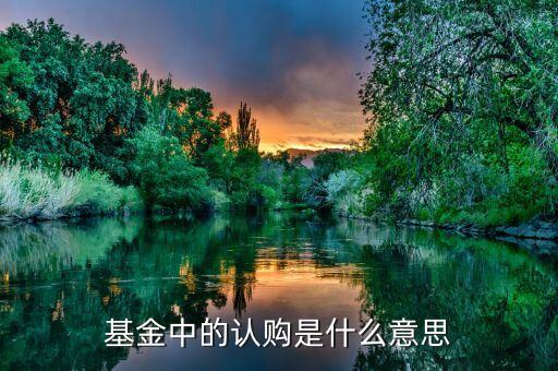 認(rèn)購(gòu)額是什么意思，什么是基金的凈認(rèn)購(gòu)金額