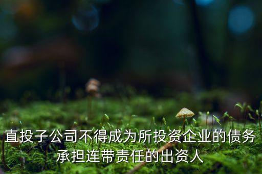 直投子公司不得成為所投資企業(yè)的債務(wù)承擔(dān)連帶責(zé)任的出資人