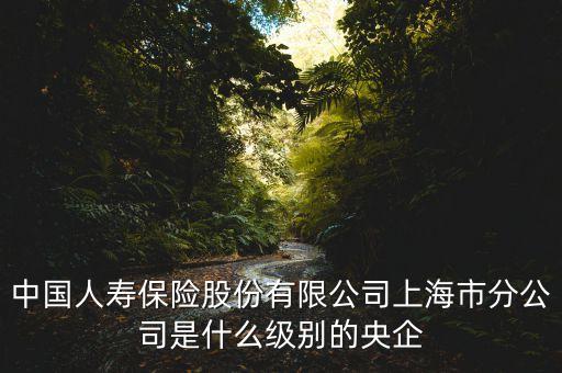 中國人壽什么級別，中國人壽是什么單位類別