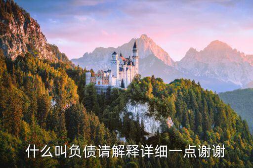 什么叫負(fù)債請解釋詳細(xì)一點(diǎn)謝謝