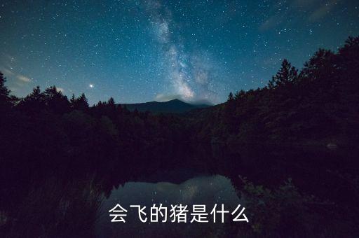 會飛的豬什么意思，會飛的豬是什么