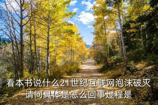 看本書說什么21世紀互聯(lián)網泡沫破滅請問具體是怎么回事過程是