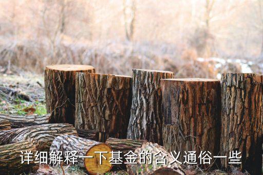 詳細解釋一下基金的含義通俗一些