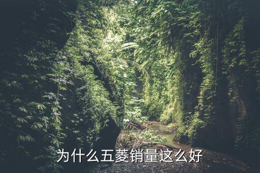 為什么五菱銷量這么好