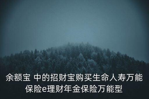 余額寶 中的招財(cái)寶購(gòu)買(mǎi)生命人壽萬(wàn)能保險(xiǎn)e理財(cái)年金保險(xiǎn)萬(wàn)能型
