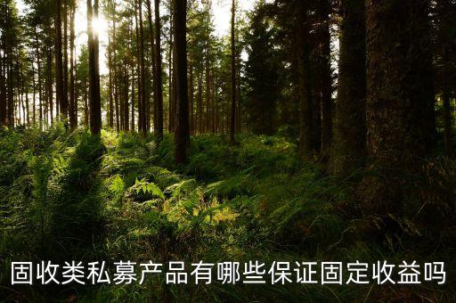 私募產(chǎn)品買什么，固收類私募產(chǎn)品有哪些保證固定收益嗎