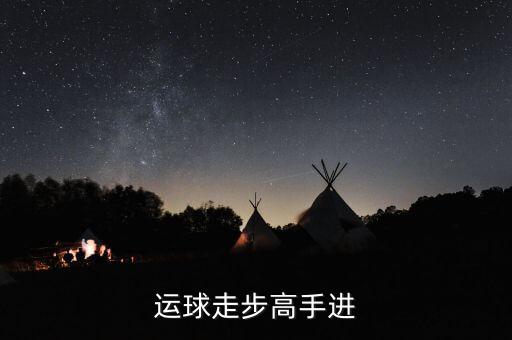 德隆治下的湘火炬戰(zhàn)略不包括什么，德隆治下的湘火炬戰(zhàn)略包括有哪些