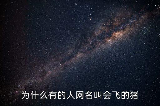 為什么有的人網(wǎng)名叫會(huì)飛的豬