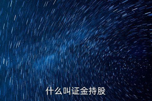 證金匯金持股什么意思，什么叫證金持股