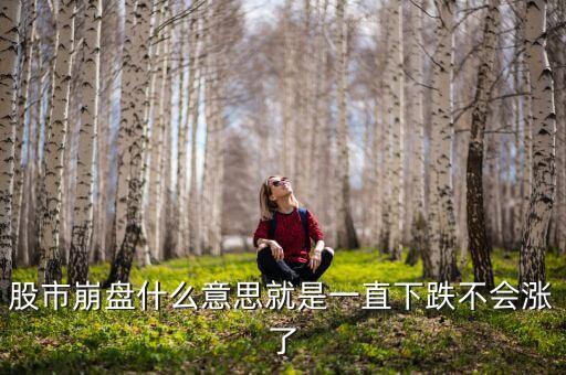 股市崩盤意味著什么，如果股市崩盤是不是意味著證券公司就倒閉了證券公司的利潤到底從