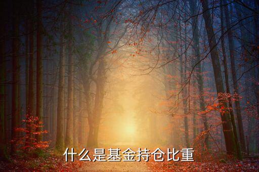 基金持倉占比是什么意思，什么是基金持倉比重