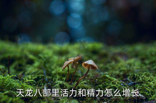 天龍活力根據(jù)什么增長(zhǎng)，天龍八部里活力和精力怎么增長(zhǎng)