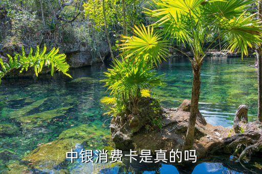 中銀消費(fèi)卡是真的嗎