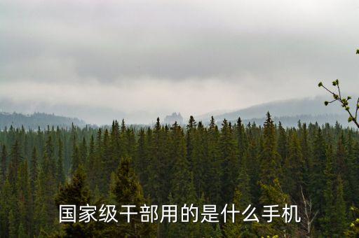 央企領(lǐng)導(dǎo)用什么手機(jī)，國(guó)家級(jí)干部用的是什么手機(jī)