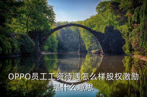 全員持股什么意思，OPPO員工工資待遇怎么樣股權激勵是什么意思