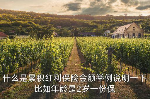 什么是累積紅利保險(xiǎn)金額舉例說(shuō)明一下比如年齡是2歲一份保