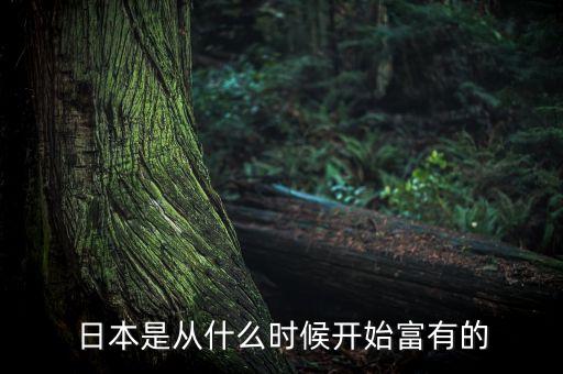日本是從什么時(shí)候開(kāi)始富有的