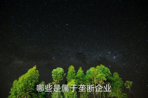 什么是消費(fèi)壟斷企業(yè)，哪些是屬于壟斷企業(yè)
