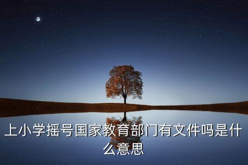上小學(xué)搖號(hào)國(guó)家教育部門有文件嗎是什么意思