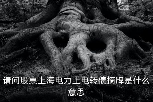 請(qǐng)問股票上海電力上電轉(zhuǎn)債摘牌是什么意思