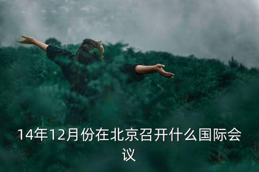 總理一般會(huì)出席什么國(guó)際會(huì)議，英國(guó)的懸浮議會(huì)