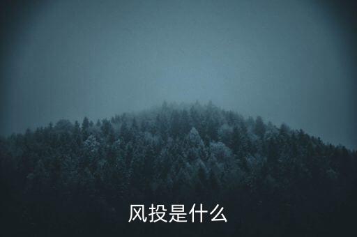 風(fēng)險(xiǎn)投資是什么，風(fēng)投是什么