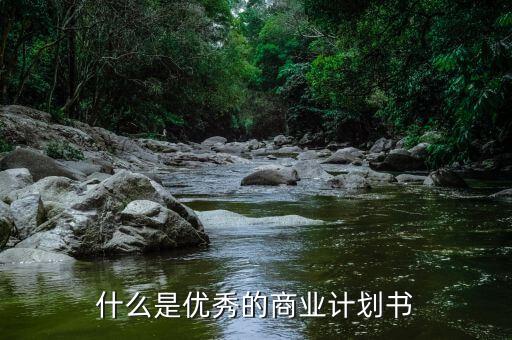 什么叫有商業(yè)價值的說明書，幫幫忙謝謝