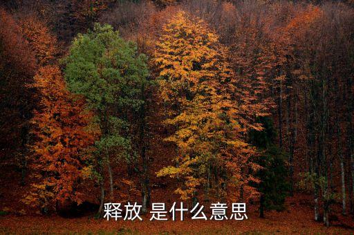 產(chǎn)能釋放是什么意思，釋放是什么意思