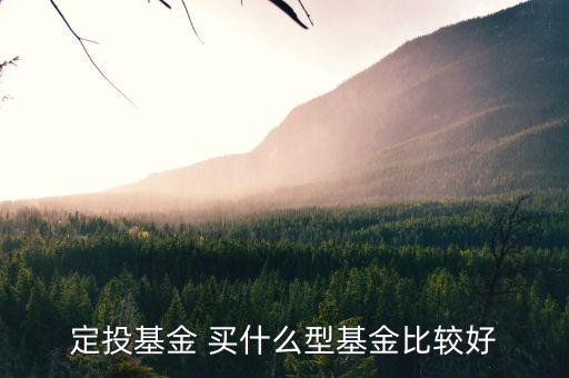 定投基金買什么最好，定投什么基金好