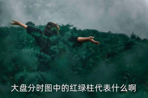 大盤分時(shí)線隨近的柱代表什么，股票分時(shí)圖下面黃藍(lán)白柱各表示什么