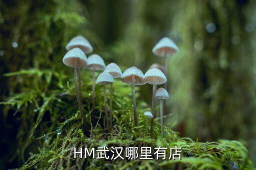 武漢禧h酒店什么時間開業(yè)，武漢哪里有快開張的酒店