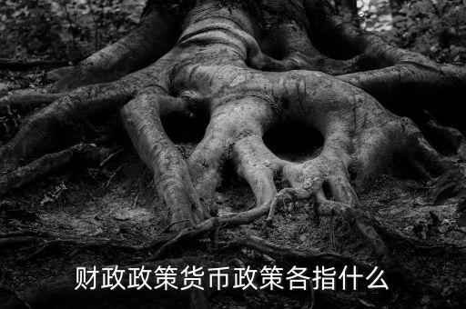 什么是財(cái)政政策，什么是財(cái)政政策