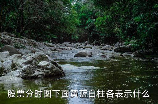 股票分時圖下面黃藍(lán)白柱各表示什么