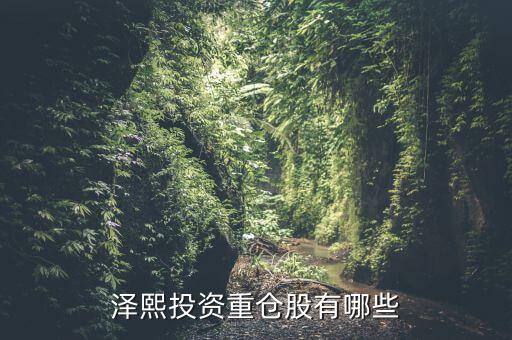 2014年澤熙投資資金介入什么股，請問在哪里能看到澤熙投資參與調(diào)研過哪些股票