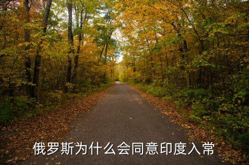 俄羅斯為什么會同意印度入常