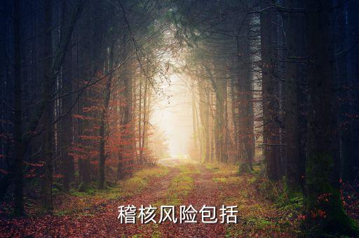 合規(guī)稽核是什么意思，銀行風(fēng)險(xiǎn)合規(guī)和審計(jì)稽核的區(qū)別