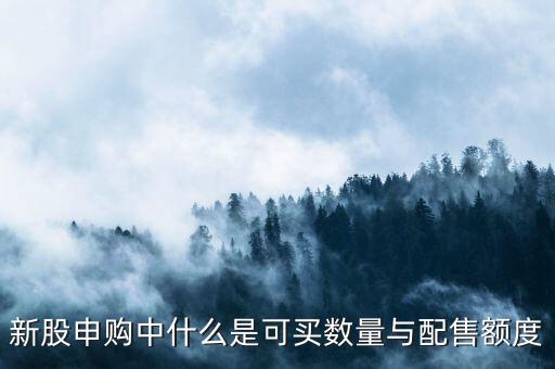 新股申購(gòu)中什么是可買數(shù)量與配售額度