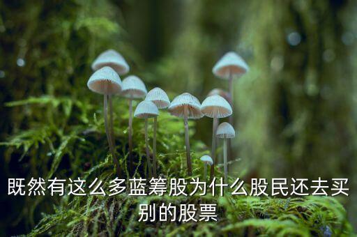 既然有這么多藍(lán)籌股為什么股民還去買別的股票