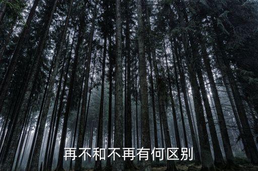 再不和不再有何區(qū)別