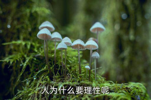 人為什么需要理性，人為什么要理性呢