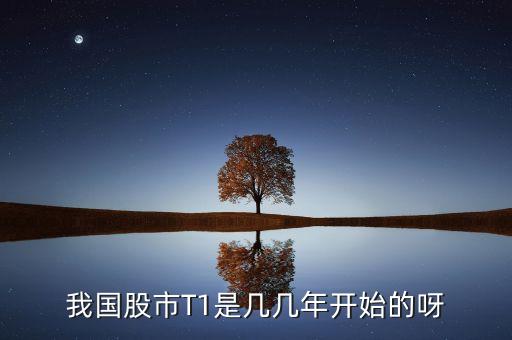 a股什么時(shí)候開t0，什么時(shí)候能t0交易給中國股市打開公平窗口