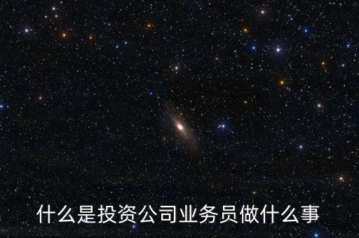 什么是投資公司業(yè)務(wù)員做什么事