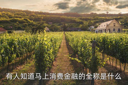 什么是消費(fèi)金融牌照，有人知道馬上消費(fèi)金融的全稱是什么