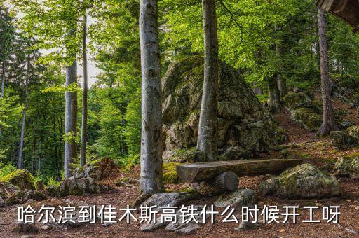 哈爾濱到佳木斯高鐵什么時(shí)候開工呀