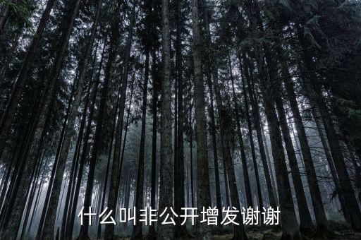 股票非公開增發(fā)是什么意思，st股非公開增發(fā)啥意思