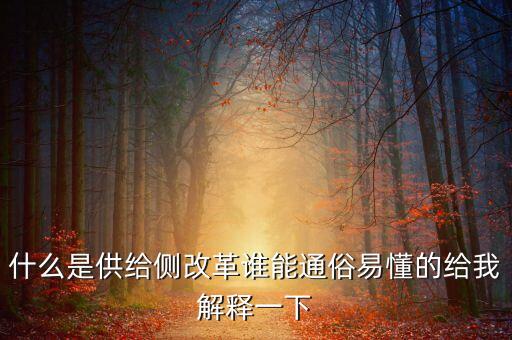 什么是供給側改革誰能通俗易懂的給我解釋一下