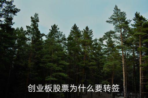 創(chuàng)業(yè)板股票為什么要轉(zhuǎn)簽