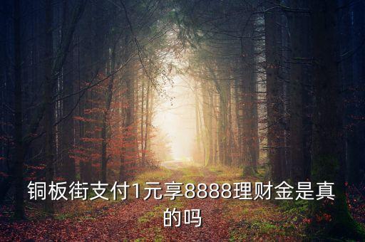 銅板街理財(cái)金是什么，銅板街理財(cái)金有什么用